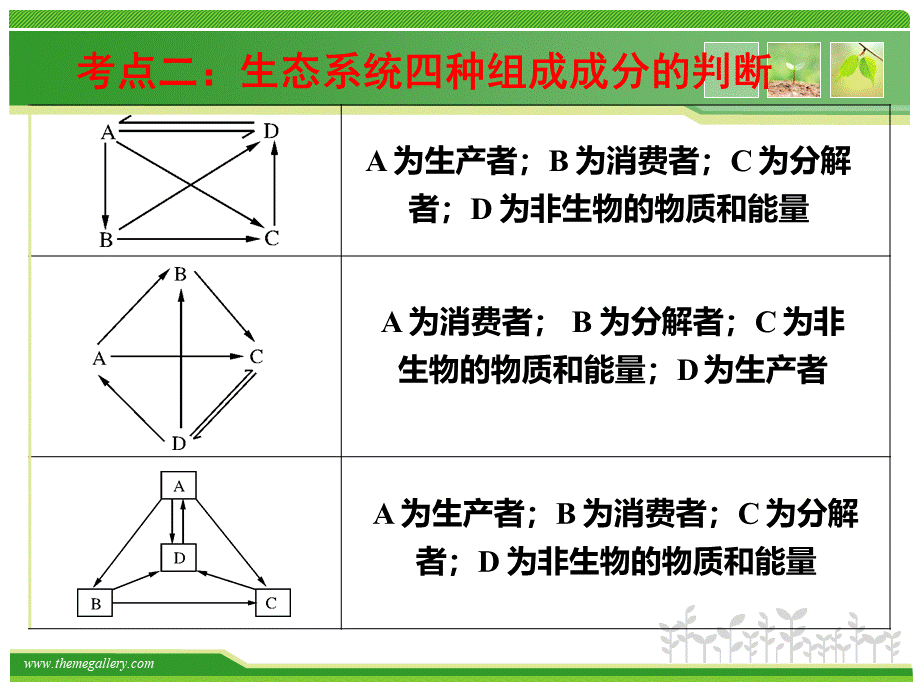 高三二轮复习专题生态系统PPT格式课件下载.ppt_第3页