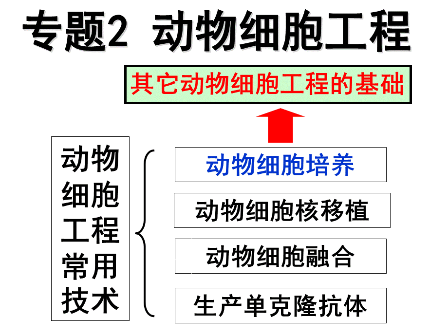 动物细胞培养.ppt