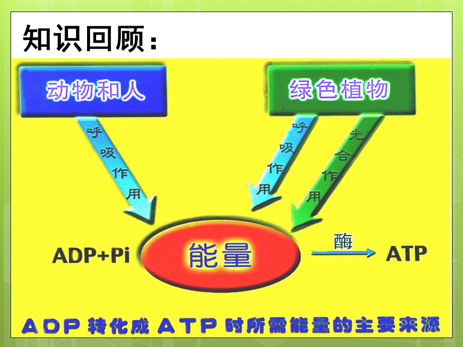 高中生物-细胞呼吸精品课件-唐海.pptx_第1页