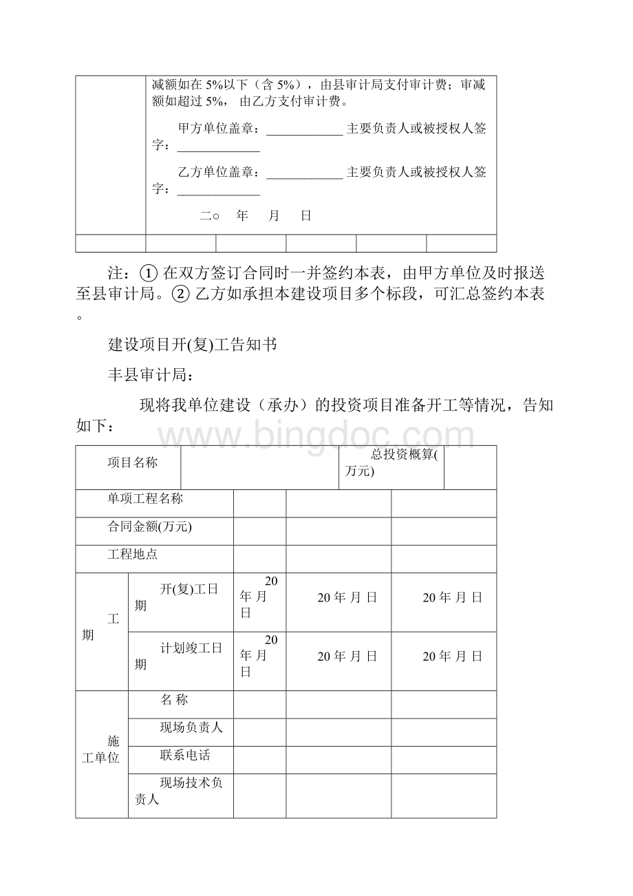 投融资建设项目审计规范表式Word文件下载.docx_第3页