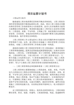 项目运营计划书.docx