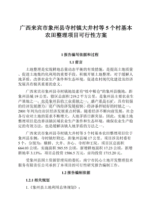 广西来宾市象州县寺村镇大井村等5个村基本农田整理项目可行性方案文档格式.docx