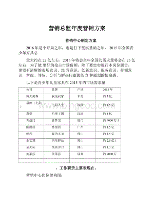 营销总监年度营销方案.docx