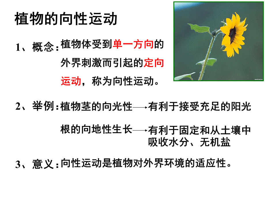 植物的激素调节ppt.ppt_第2页