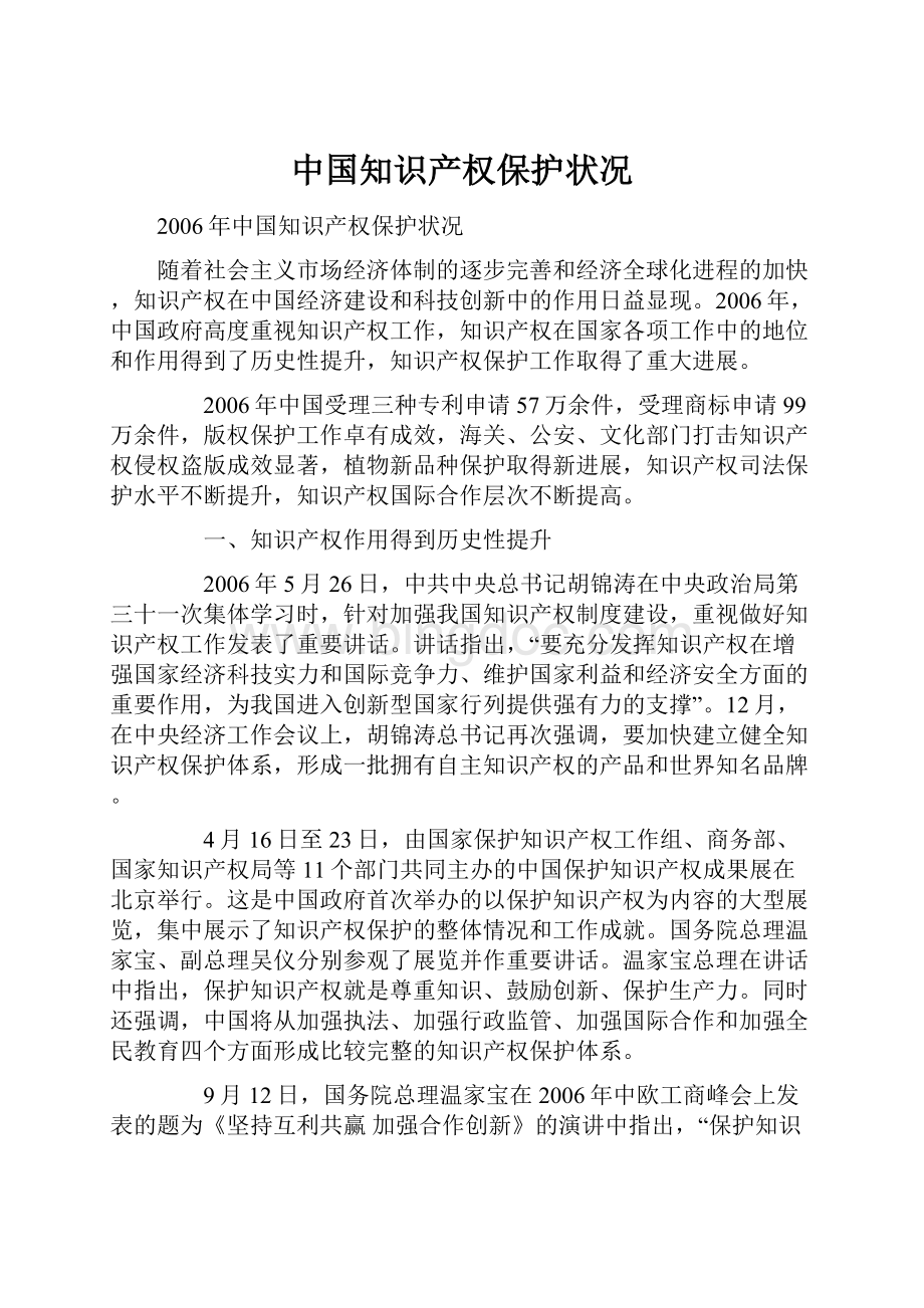 中国知识产权保护状况文档格式.docx
