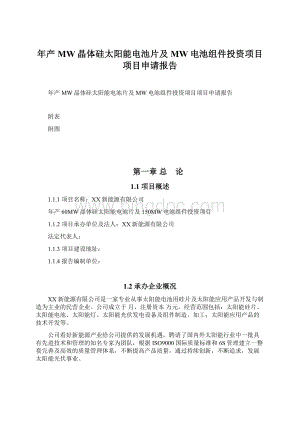 年产MW晶体硅太阳能电池片及MW电池组件投资项目项目申请报告Word格式文档下载.docx