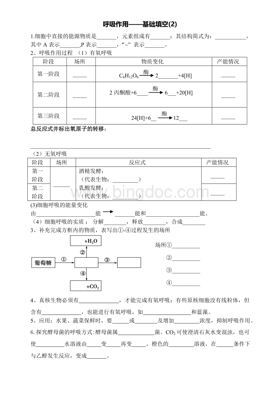 呼吸基础知识填空.doc_第1页