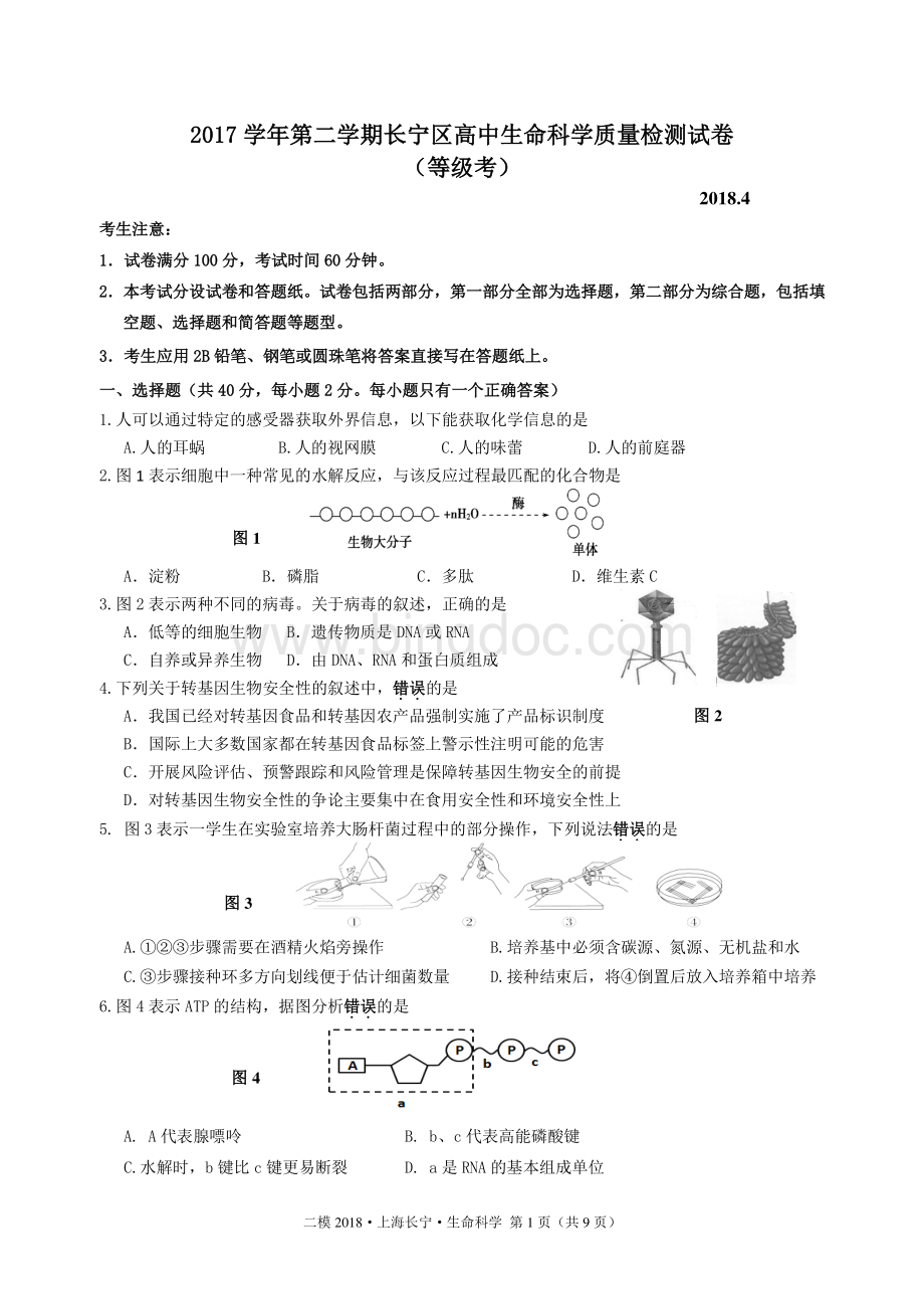 上海长宁区生命科学二模试卷及答案.pdf