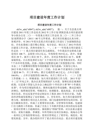 项目建设年度工作计划.docx