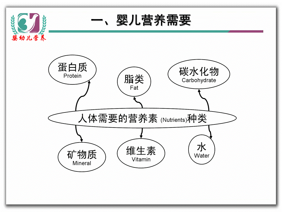 婴幼儿营养.ppt_第3页