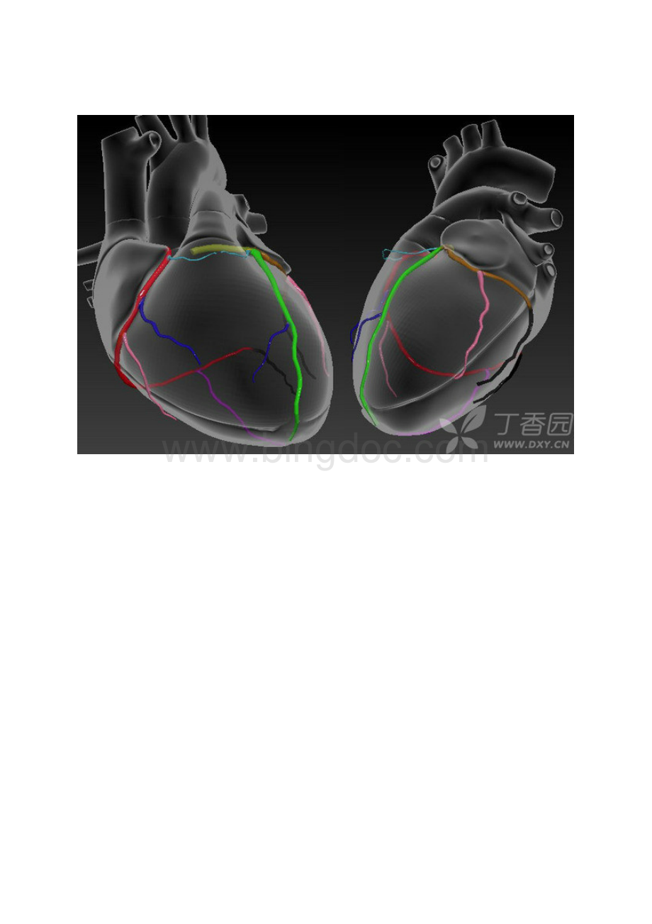 心脑血管3D解剖图.docx_第2页