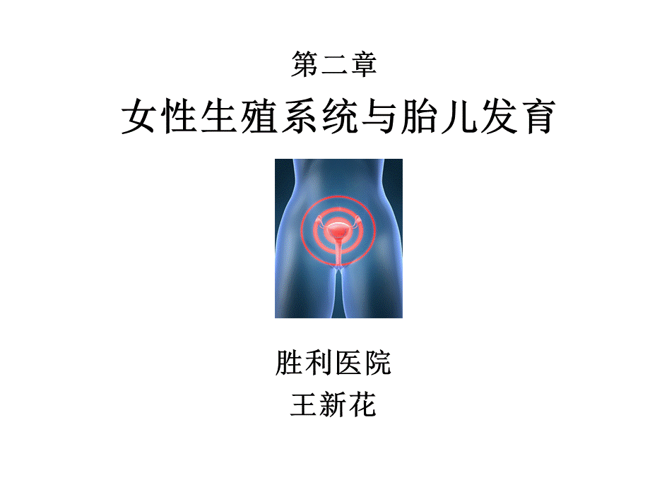 女性生殖系统PPT课件下载推荐.pptx_第1页