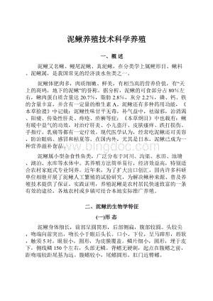 泥鳅养殖技术科学养殖Word文档下载推荐.docx