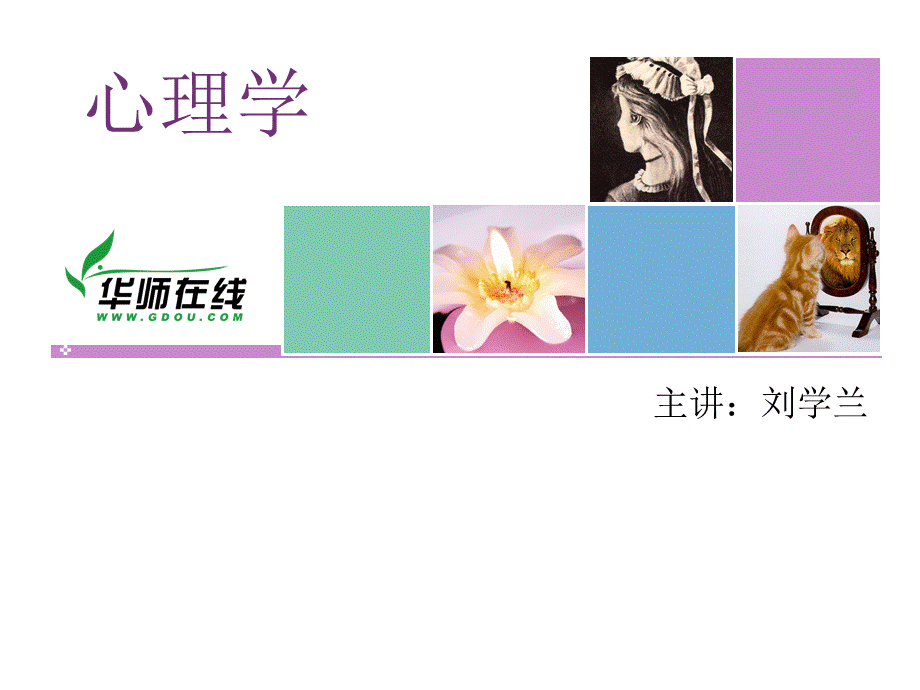 第二次导学课件(2013.12.8).ppt_第1页