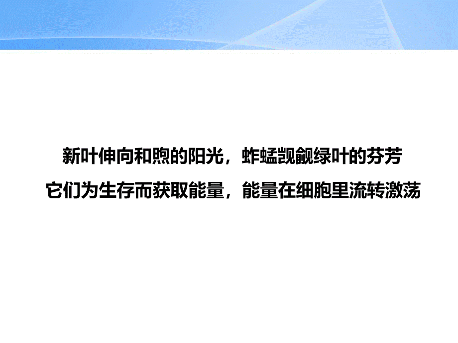 酶的作用课件.ppt