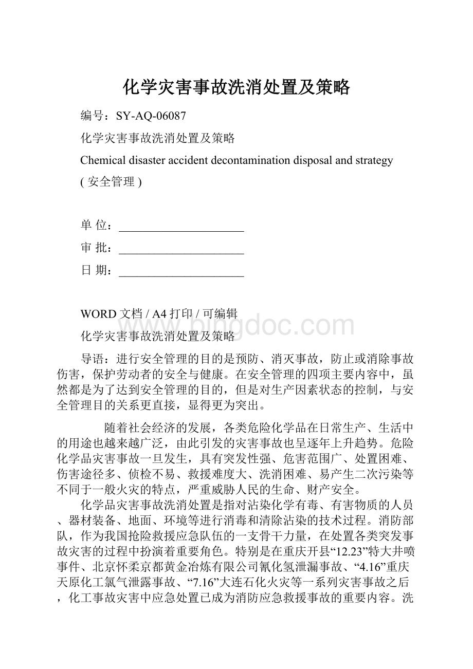 化学灾害事故洗消处置及策略.docx