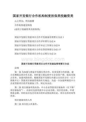 国家开发银行合作机构制度担保类投融资类Word格式文档下载.docx