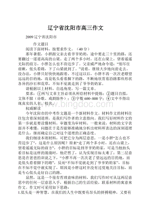 辽宁省沈阳市高三作文Word文档下载推荐.docx