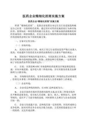 医药企业精细化招商实施方案.docx