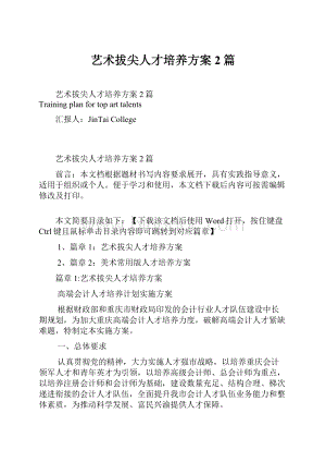 艺术拔尖人才培养方案2篇.docx