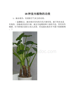 18种室内植物的功效.docx