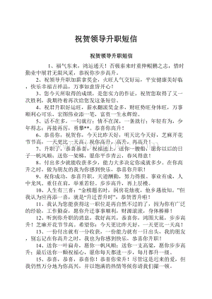 祝贺领导升职短信Word格式文档下载.docx