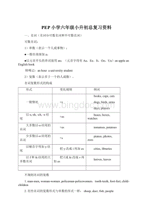 PEP小学六年级小升初总复习资料.docx