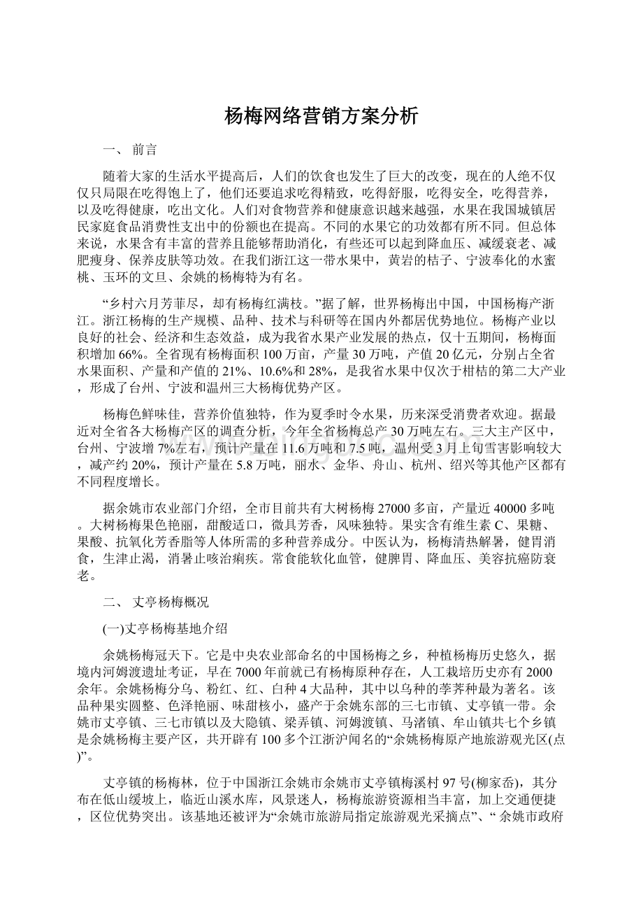 杨梅网络营销方案分析文档格式.docx