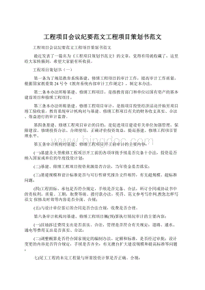 工程项目会议纪要范文工程项目策划书范文Word格式文档下载.docx