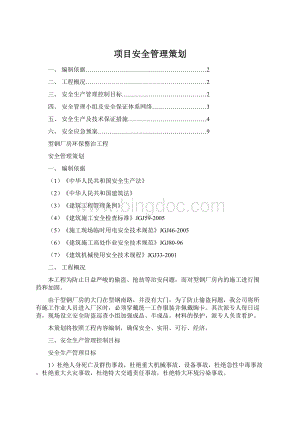 项目安全管理策划.docx