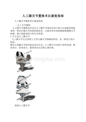 人工膝关节置换术后康复指南.docx