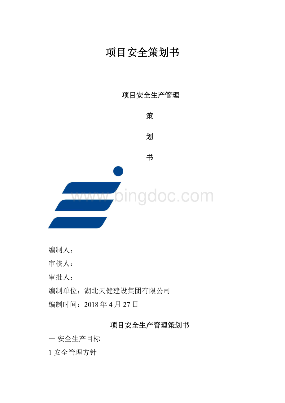 项目安全策划书.docx