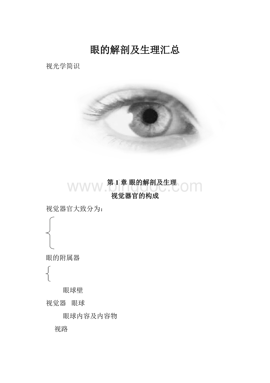 眼的解剖及生理汇总.docx_第1页