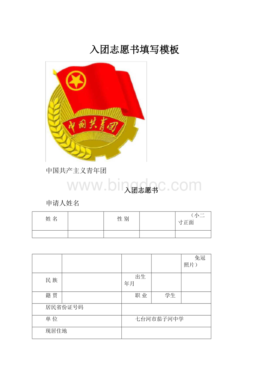 入团志愿书填写模板.docx