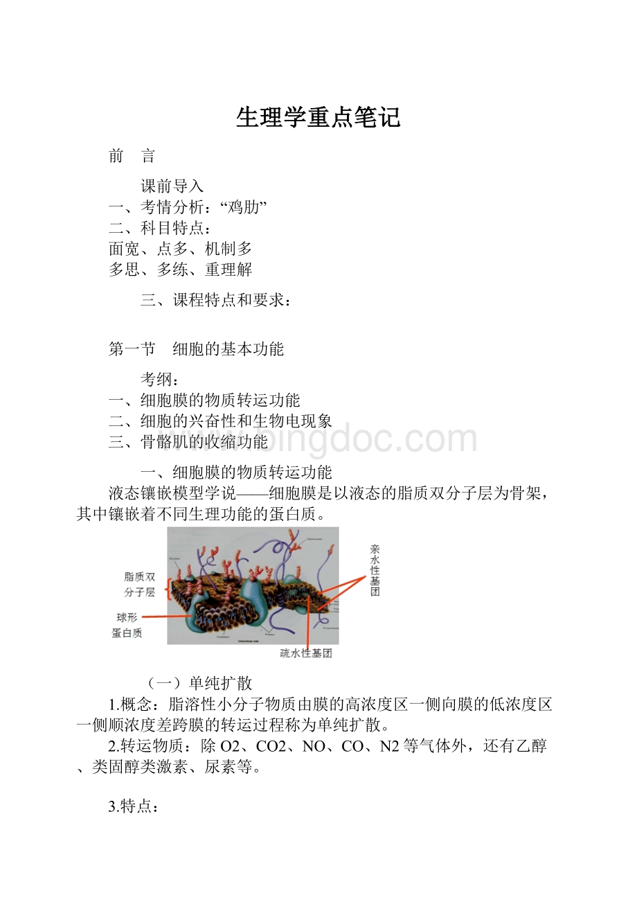 生理学重点笔记.docx_第1页