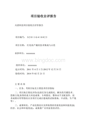 项目验收自评报告.docx