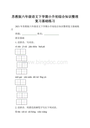 苏教版六年级语文下学期小升初综合知识整理复习基础练习.docx