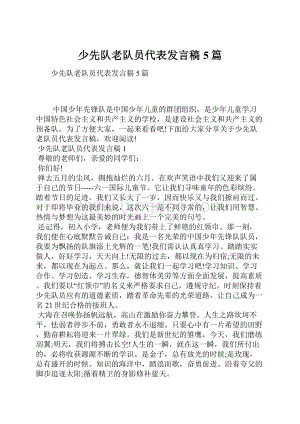 少先队老队员代表发言稿5篇.docx