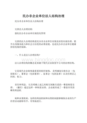 民办非企业单位法人结构治理.docx