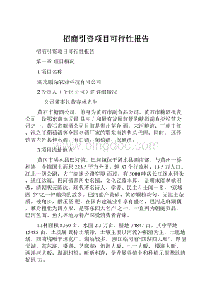 招商引资项目可行性报告.docx