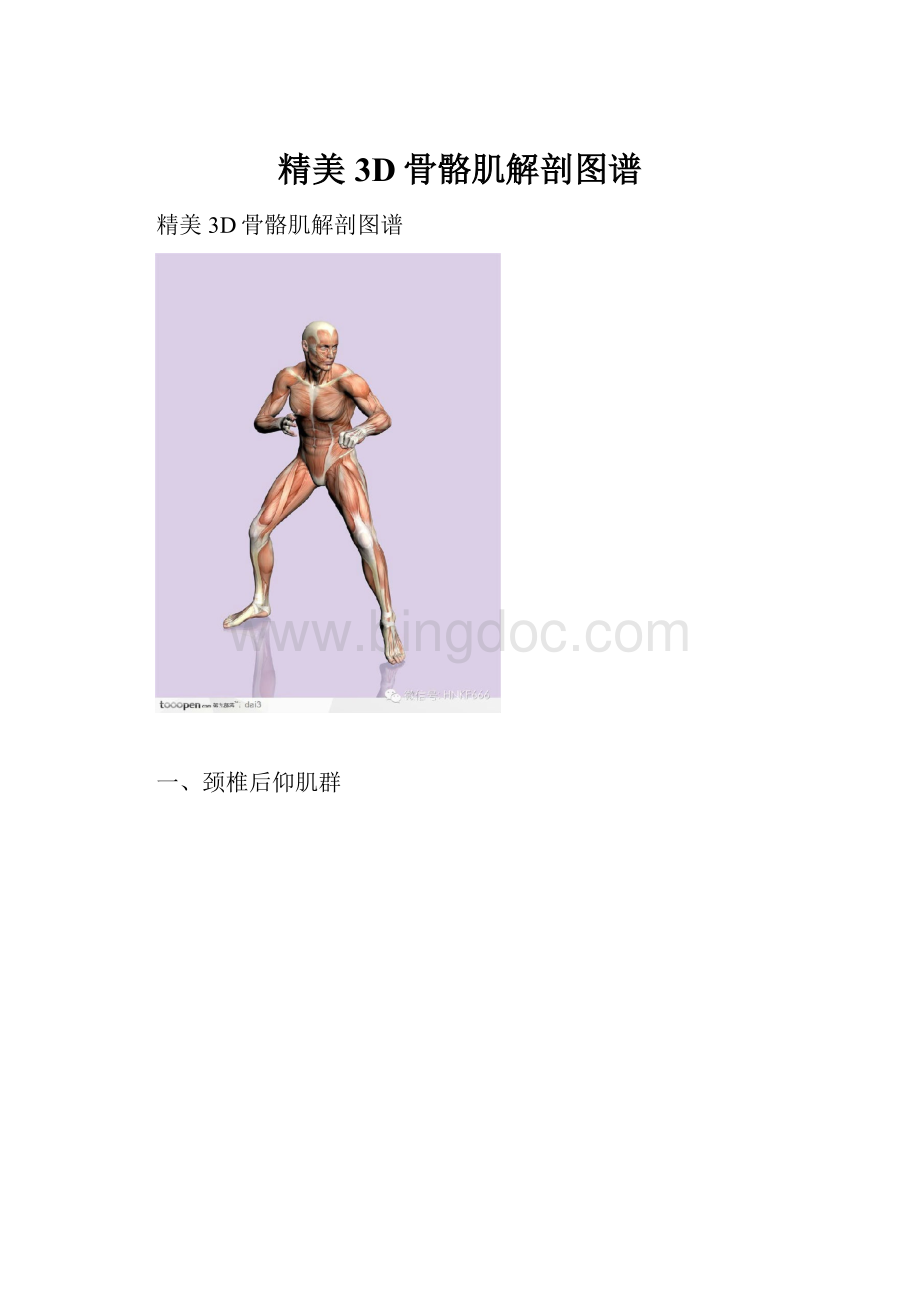 精美3D骨骼肌解剖图谱.docx_第1页