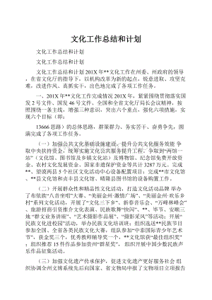 文化工作总结和计划.docx