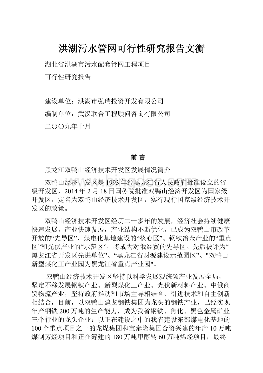 洪湖污水管网可行性研究报告文衡.docx