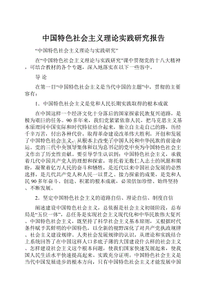 中国特色社会主义理论实践研究报告.docx