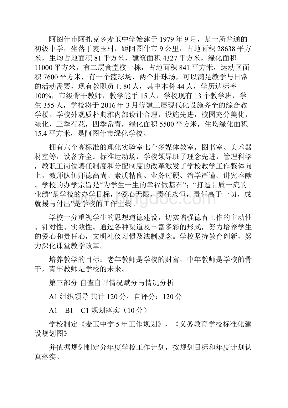 实用标准化建设自查自评报告材料.docx_第3页