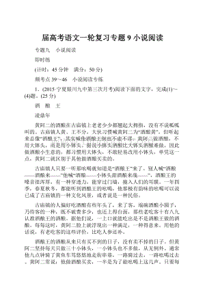 届高考语文一轮复习专题9 小说阅读.docx