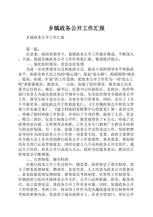 乡镇政务公开工作汇报.docx