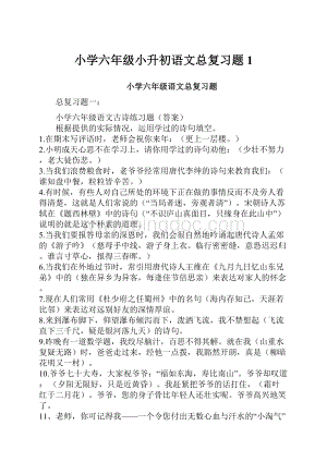 小学六年级小升初语文总复习题 1.docx