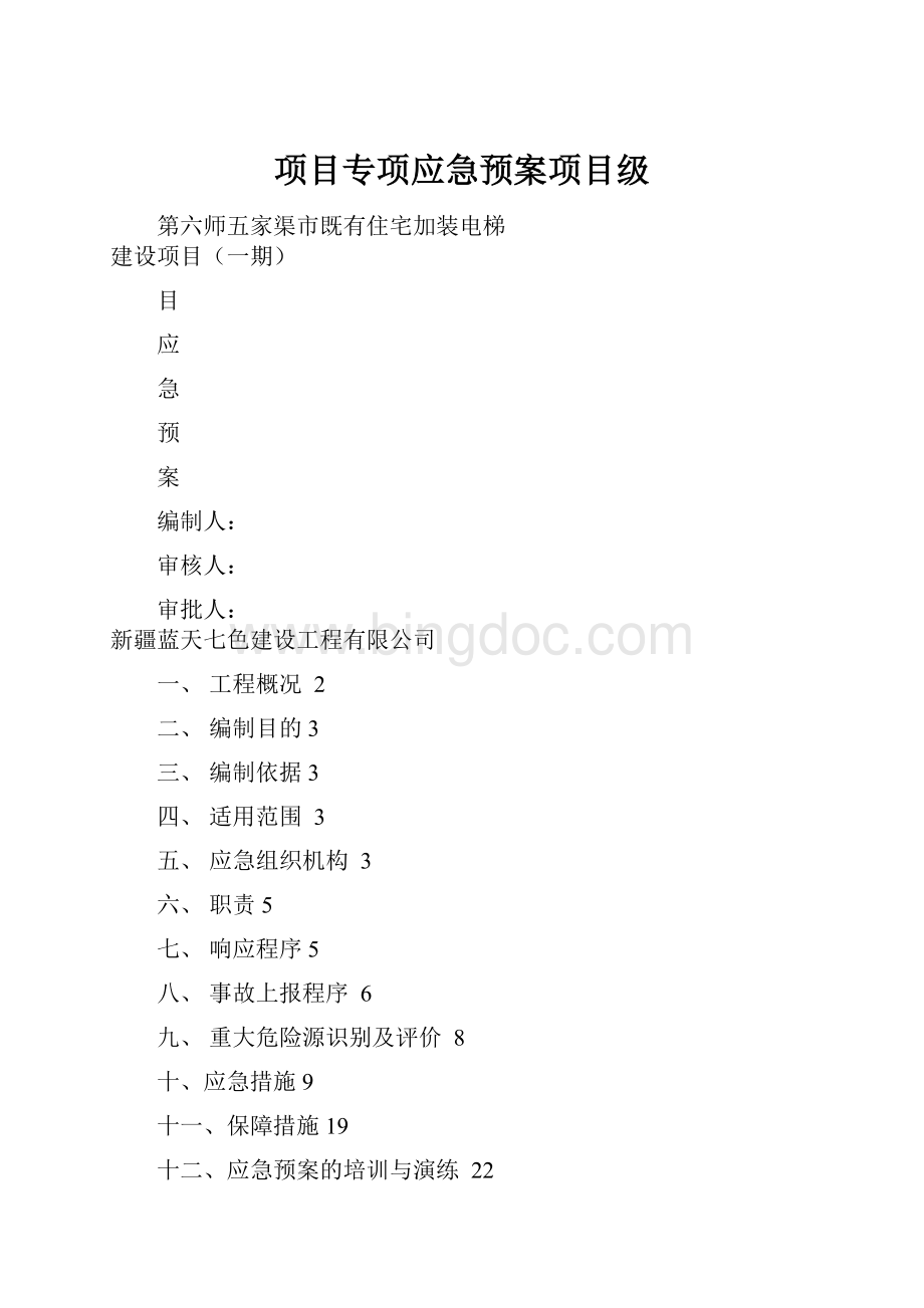 项目专项应急预案项目级.docx_第1页