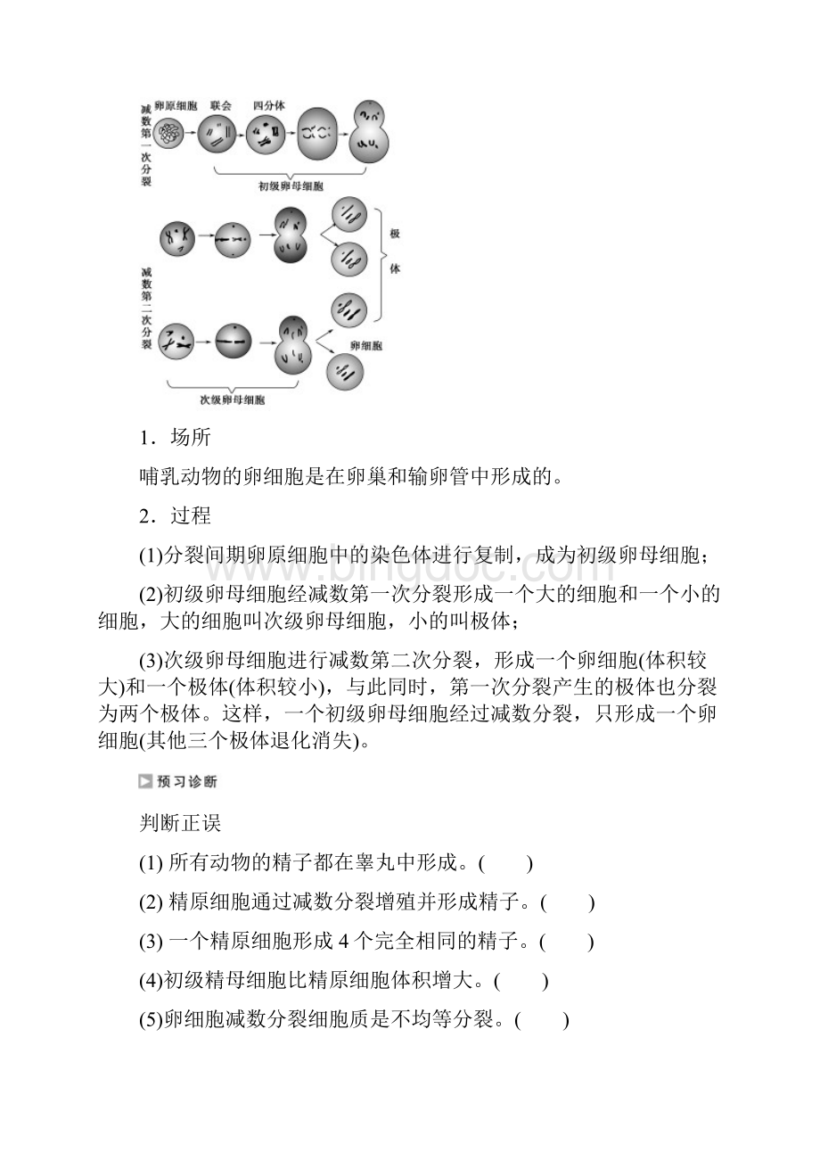 高中生物第二章第一节生殖细胞的形成第2课时课时作业苏教版必修2.docx_第2页